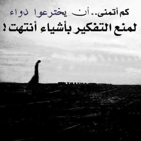 عذراً لا أمان للبشر