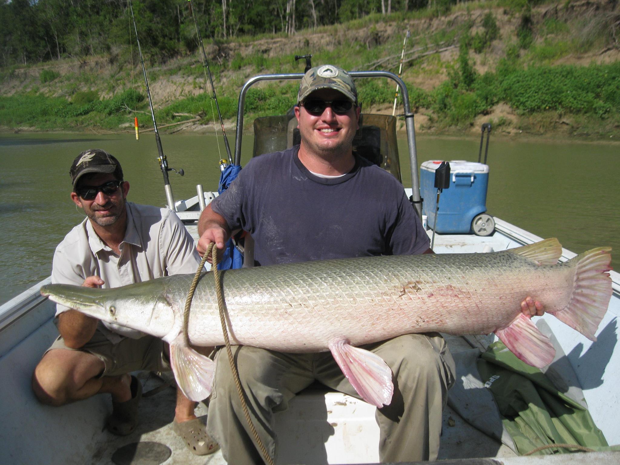 Garzilla Guide Service