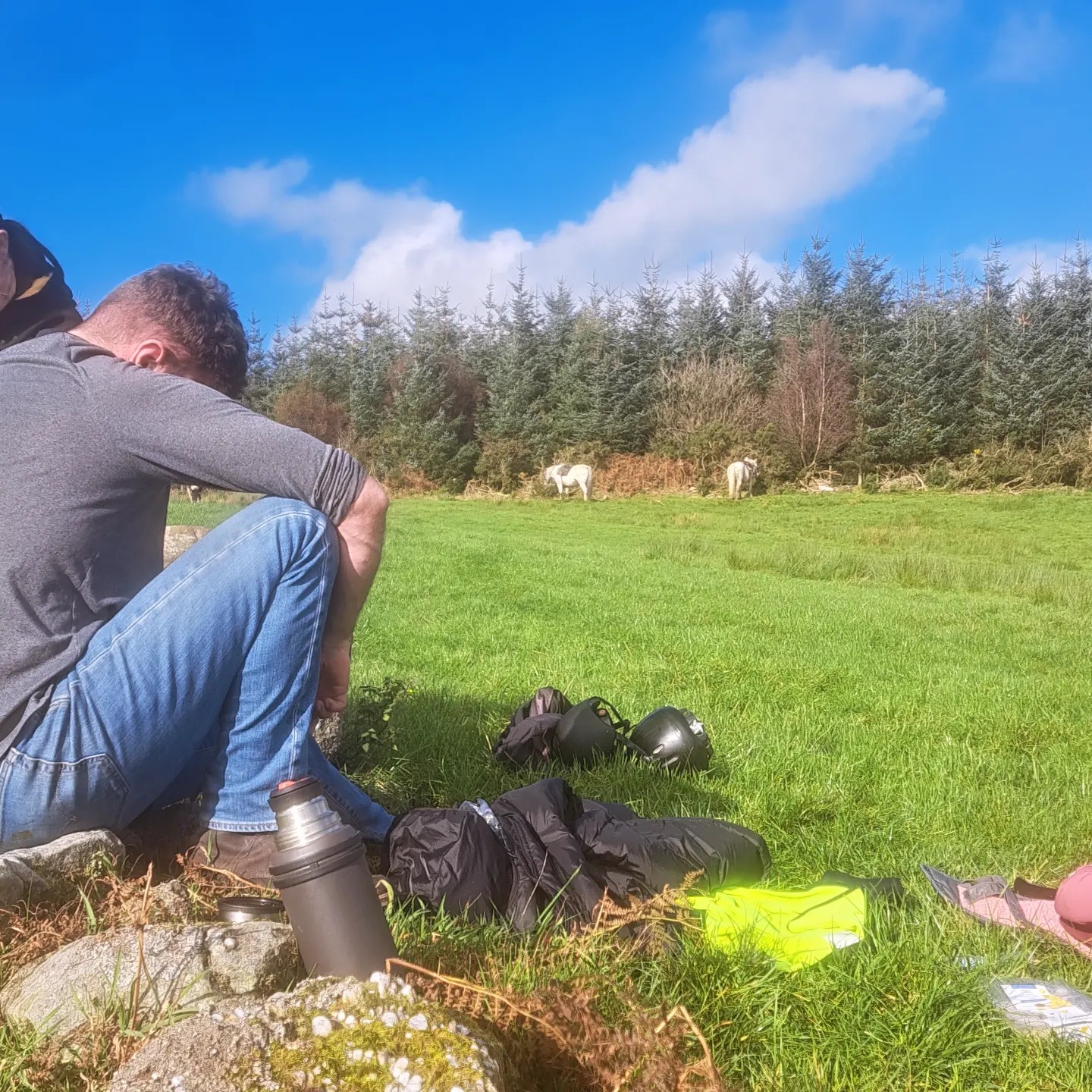Springhill Farm Riding Stables | Selattyn