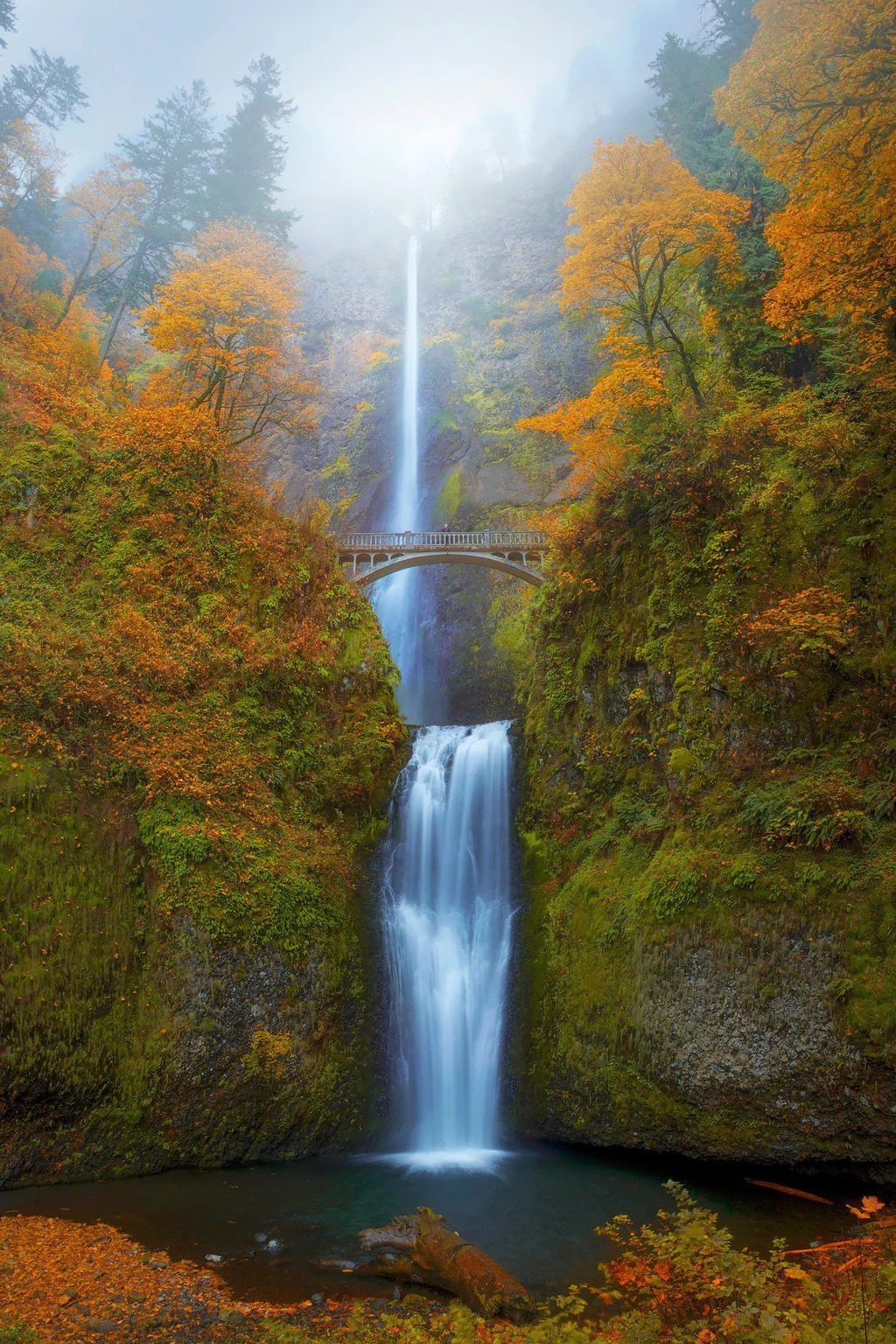 I am offering a group trip to the... - Come Travel With Me