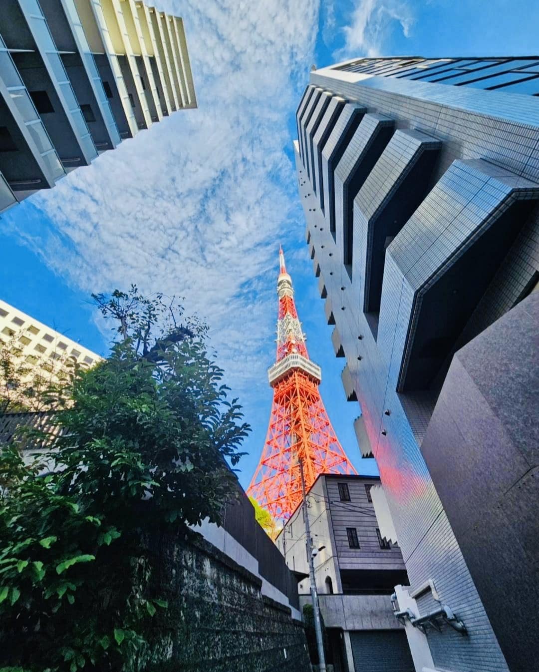 東麻布の路地から顔を覗かせる東京タワー！ 青空に広がる鱗雲が美しく、... - 東京タワー Tokyo Tower