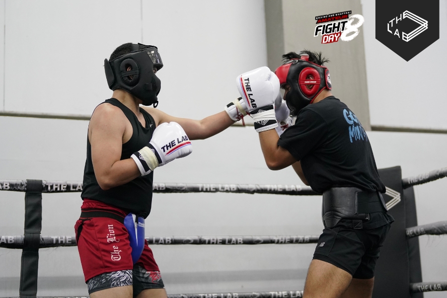 The Lab :... - The Lab : Boxing . Muay Thai . Jiu-jitsu