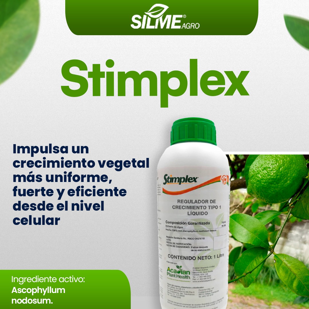 Silme - 🌱 𝐒𝐭𝐢𝐦𝐩𝐥𝐞𝐱: crecimiento que empieza desde la célula. Impulsa un ...