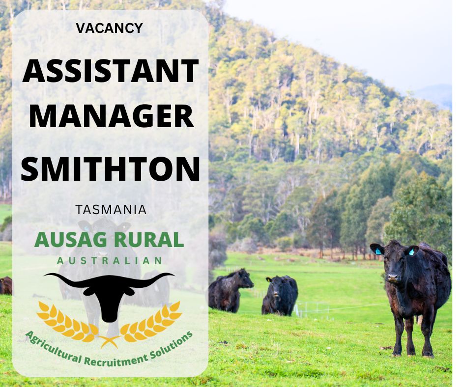 Generation Angus NZ | Feilding