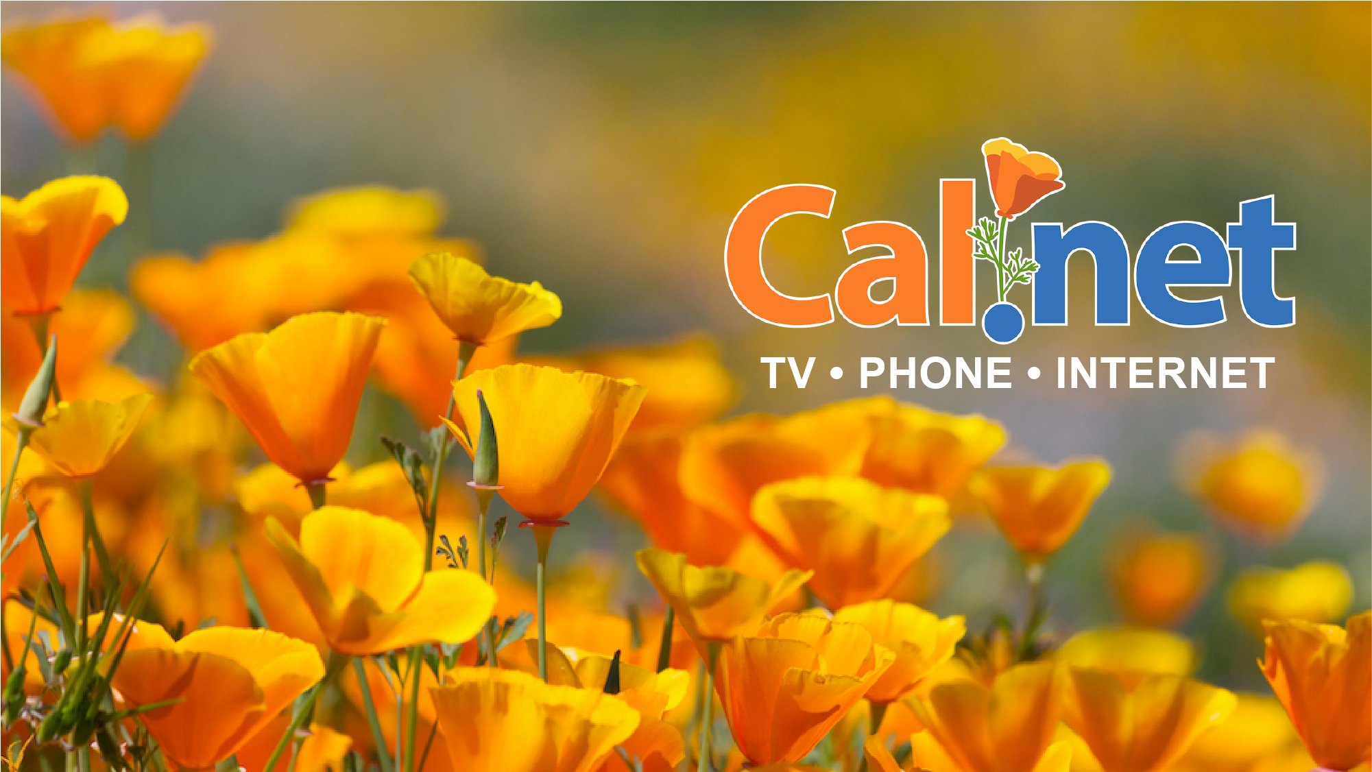 Cal.net, Inc. | Shingle Springs CA