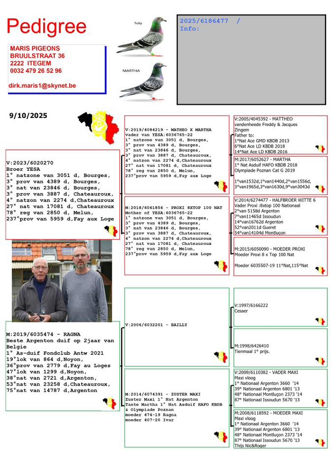 🇧🇪Frans & Dirk Maris presents Ragna 477.😁 Top offer! From