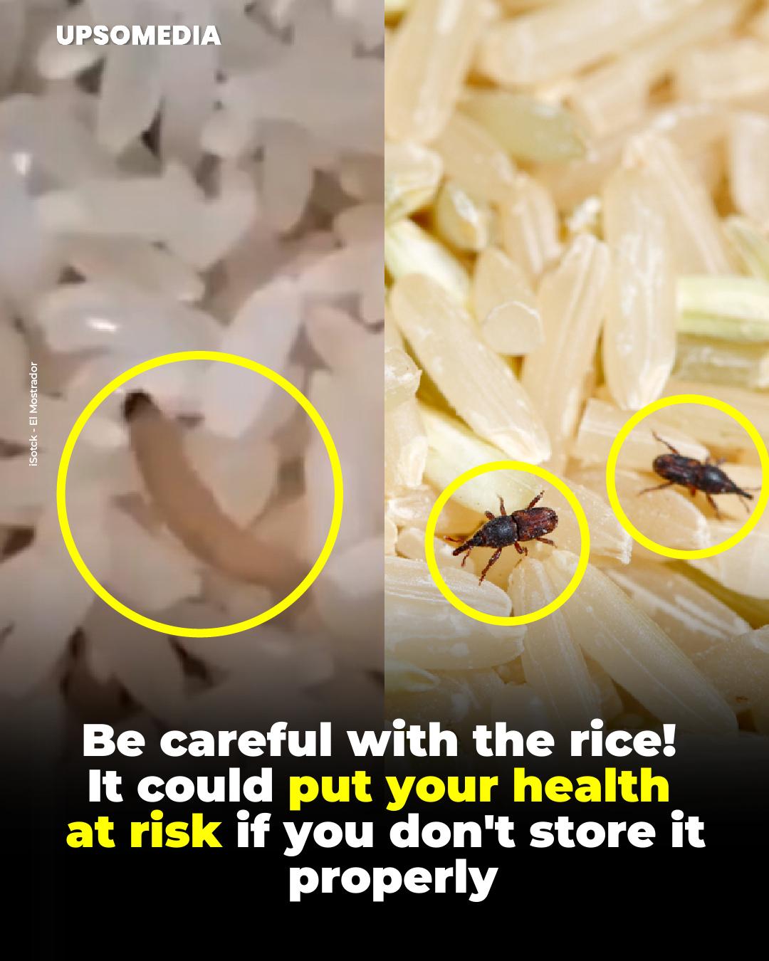 Positive - Rice, a staple in daily diets, can pose a health risk if not ...