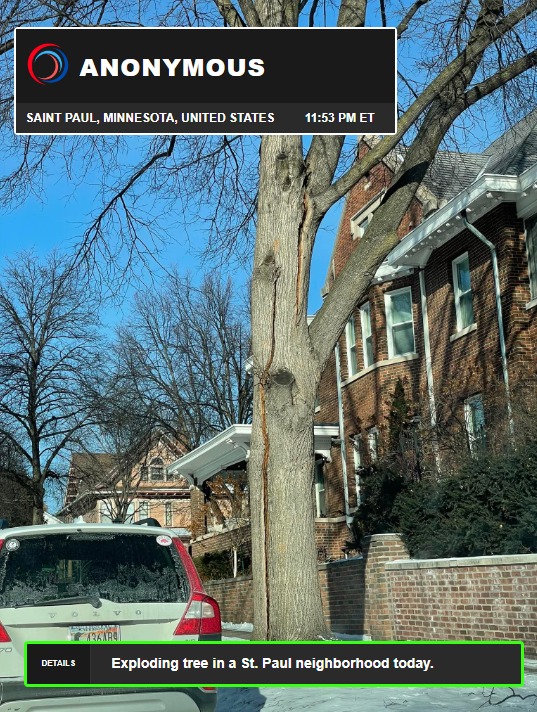 THE TREES WERE EXPLODING... - Meteorologist Max Velocity | Facebook