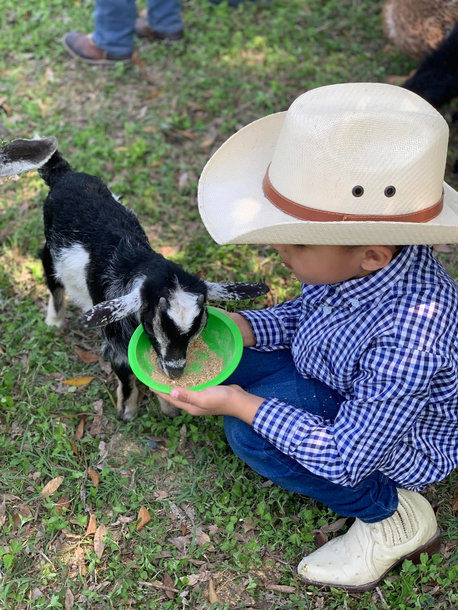 Payaso Chendin Rodeo Infantil
