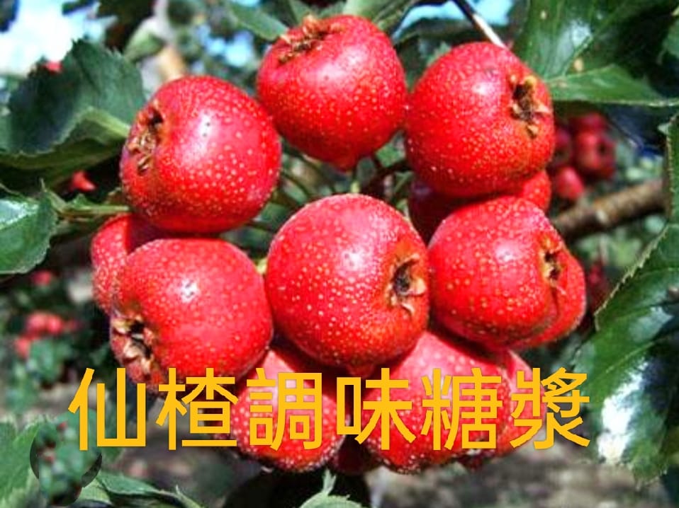嘉晉食品有限公司 - 仙楂調味糖漿新上市📣📣 仙楂俗稱酸楂or山楂🍒🍒 看起來像迷你版的蘋果🍎🍎 最常看到的形式... | Facebook