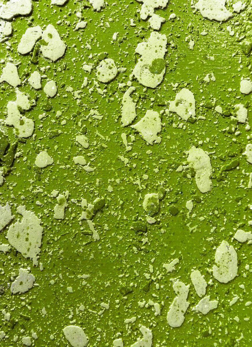 Texture Coating | Colombo