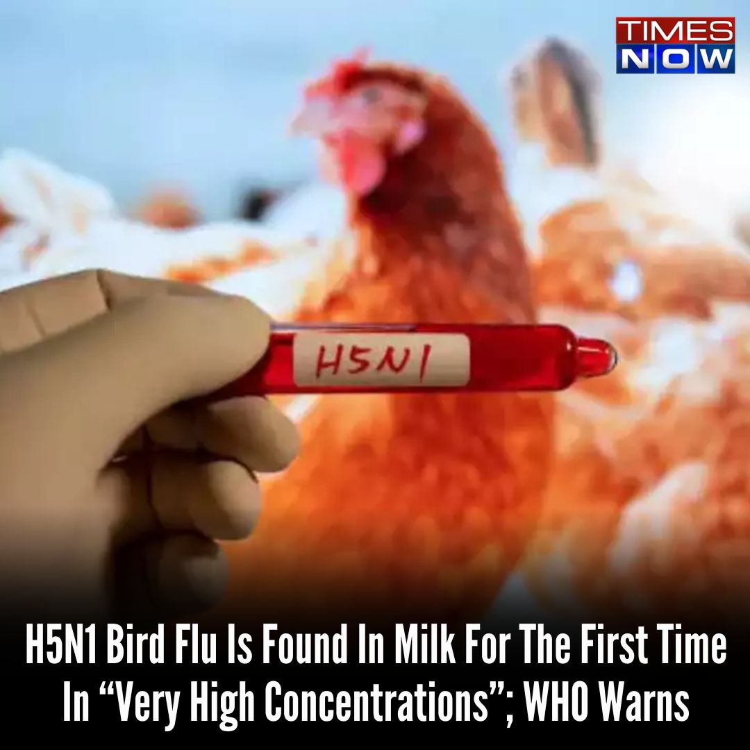 TIMES NOW - Bird flu has been detected at very high...