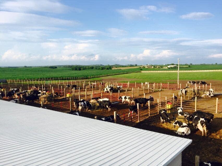 Wulf Cattle - Lot #3 ranks in the top 1% MK and top 2% MB. The demands ...