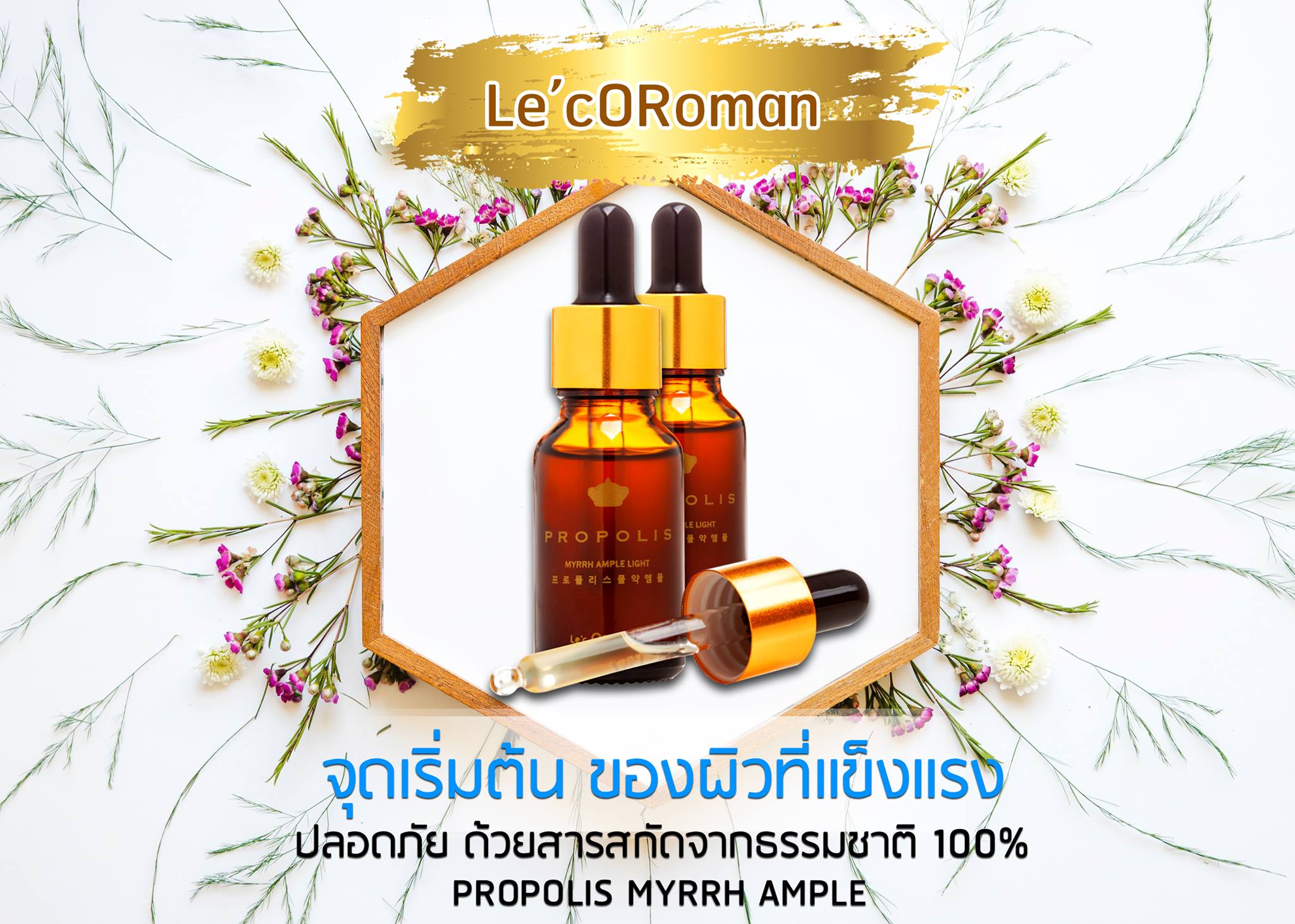 หยุดสิว ผิวเสีย ฝ้า... - Le coroman จุดเริ่มต้นผิวแข็งแรง | Facebook