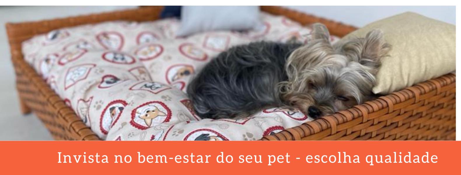 FVO - COLDOG CARNE E OSSINHOS agora é um alimento Premium - com 21% de ...