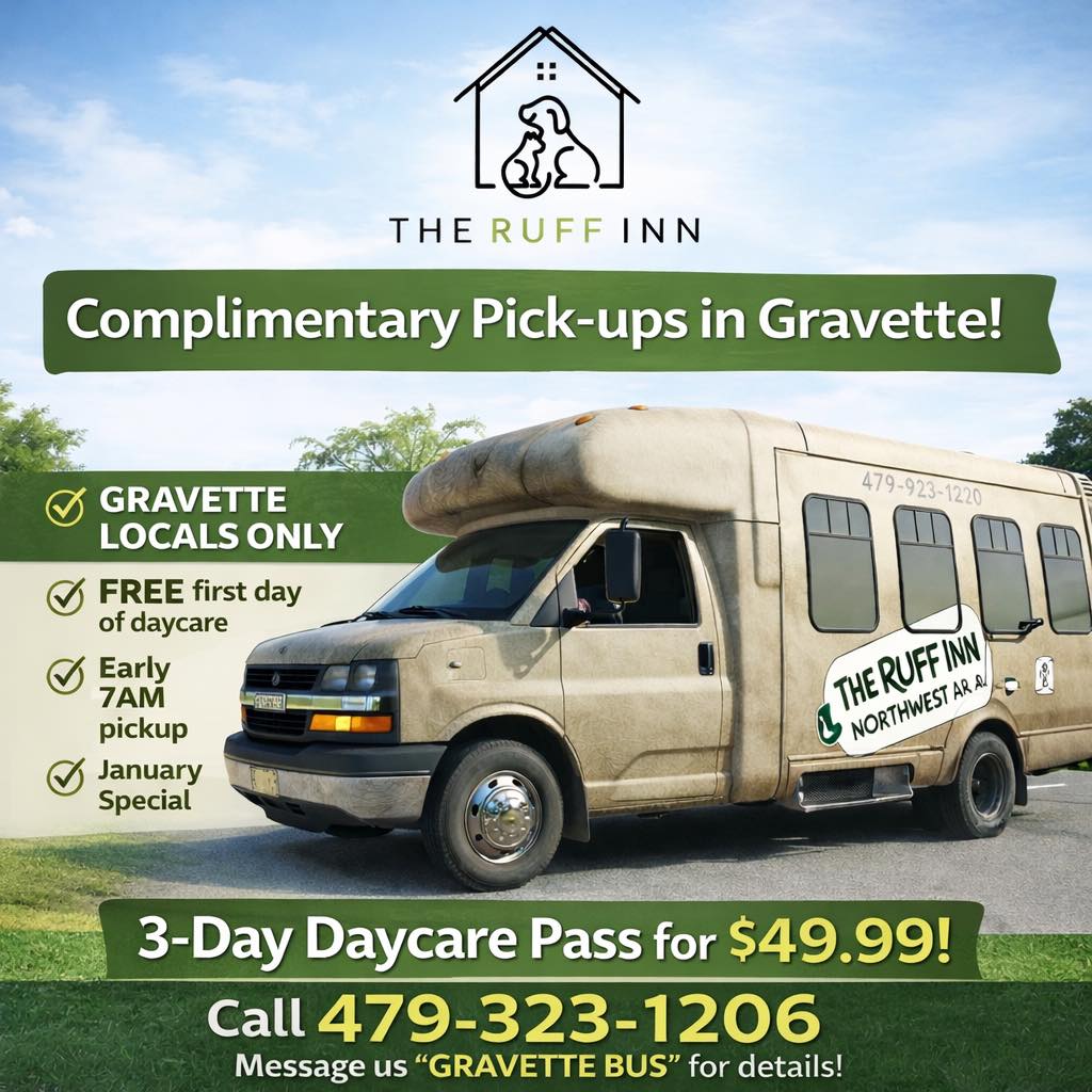 The Ruff Inn - 🚌🐾 GRAVETTE DOG PARENTS — BIG NEWS! The... | Facebook
