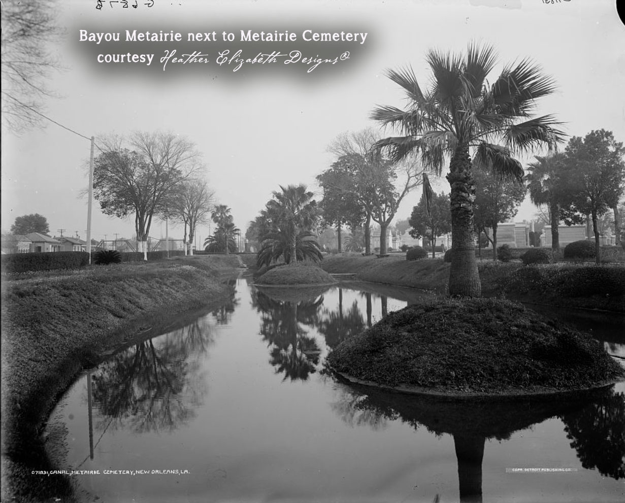 Heather - I love this shot of old Bayou Metairie. This perspective is ...