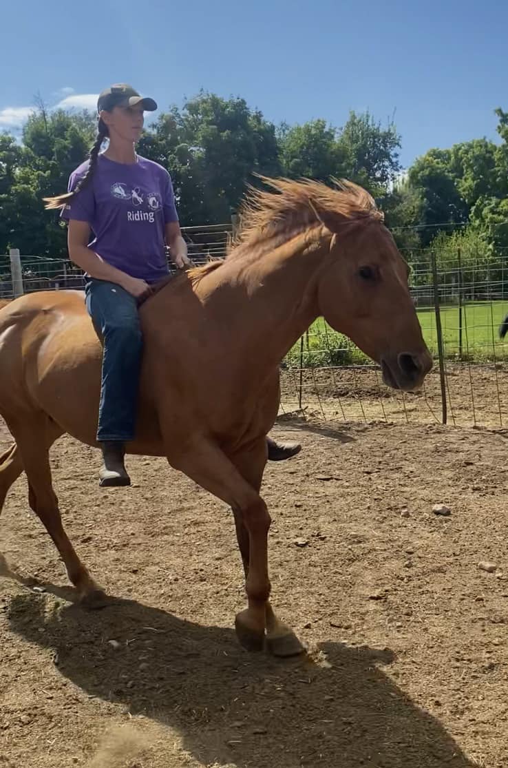 C&C Ranch - We are preparing for 2024 riding season!!...