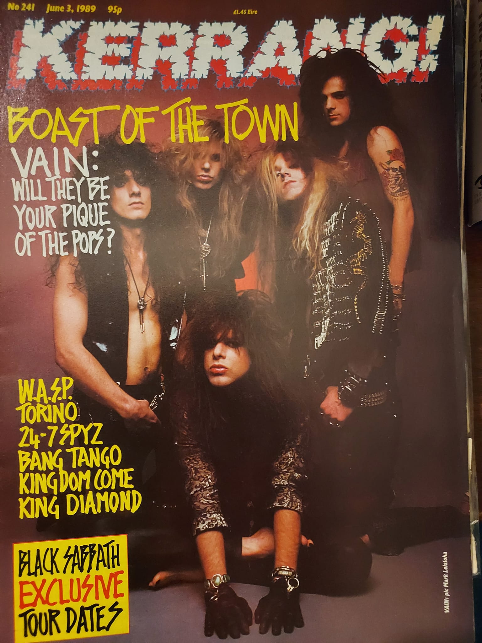 June 15th 1989 - Vain released the album 