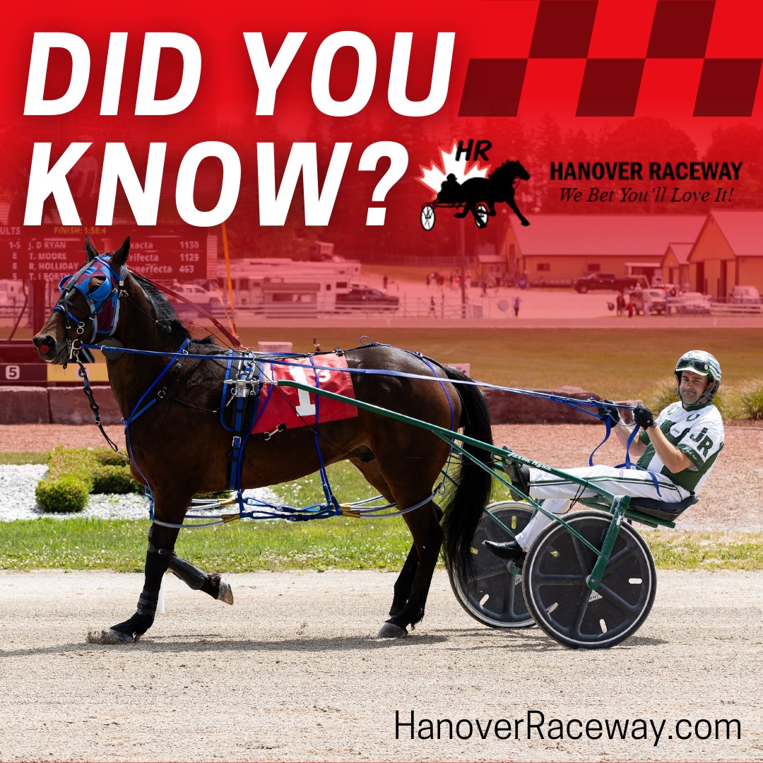 Hanover Raceway - Harness racing horses are called...