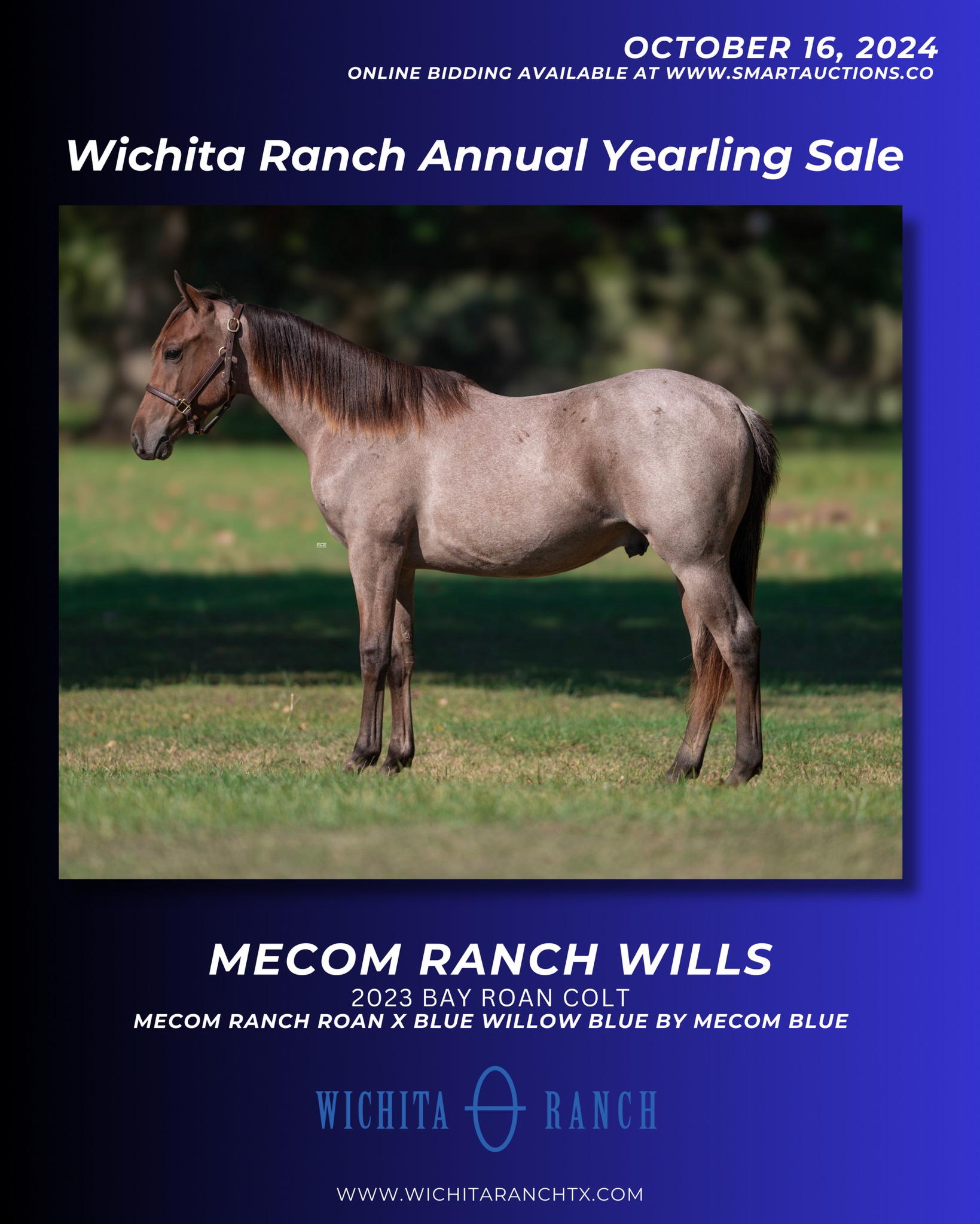 Wichita - 𝐀𝐥𝐥 𝐨𝐧𝐥𝐢𝐧𝐞 𝐎𝐜𝐭𝐨𝐛𝐞𝐫 𝟏𝟔𝐭𝐡, the annual #WichitaRanch Yearling ...