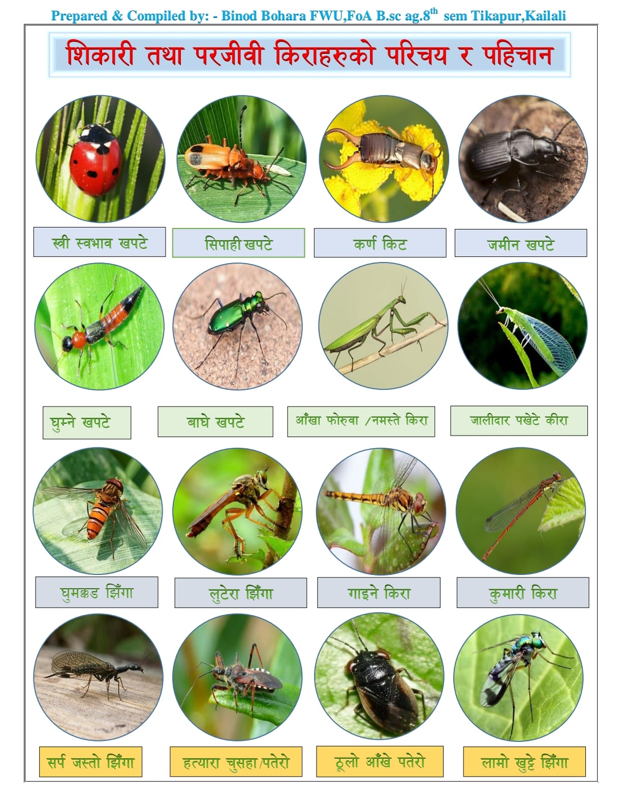 🌱🐝 Boost Your Farm with Beneficial... - Half Agriculturist