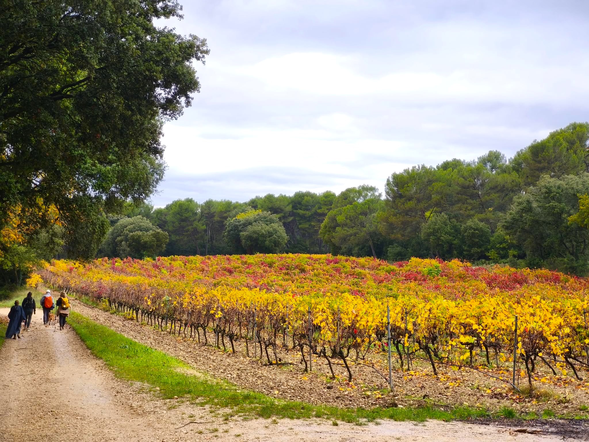 Rognes Tourisme Culture | Rognes