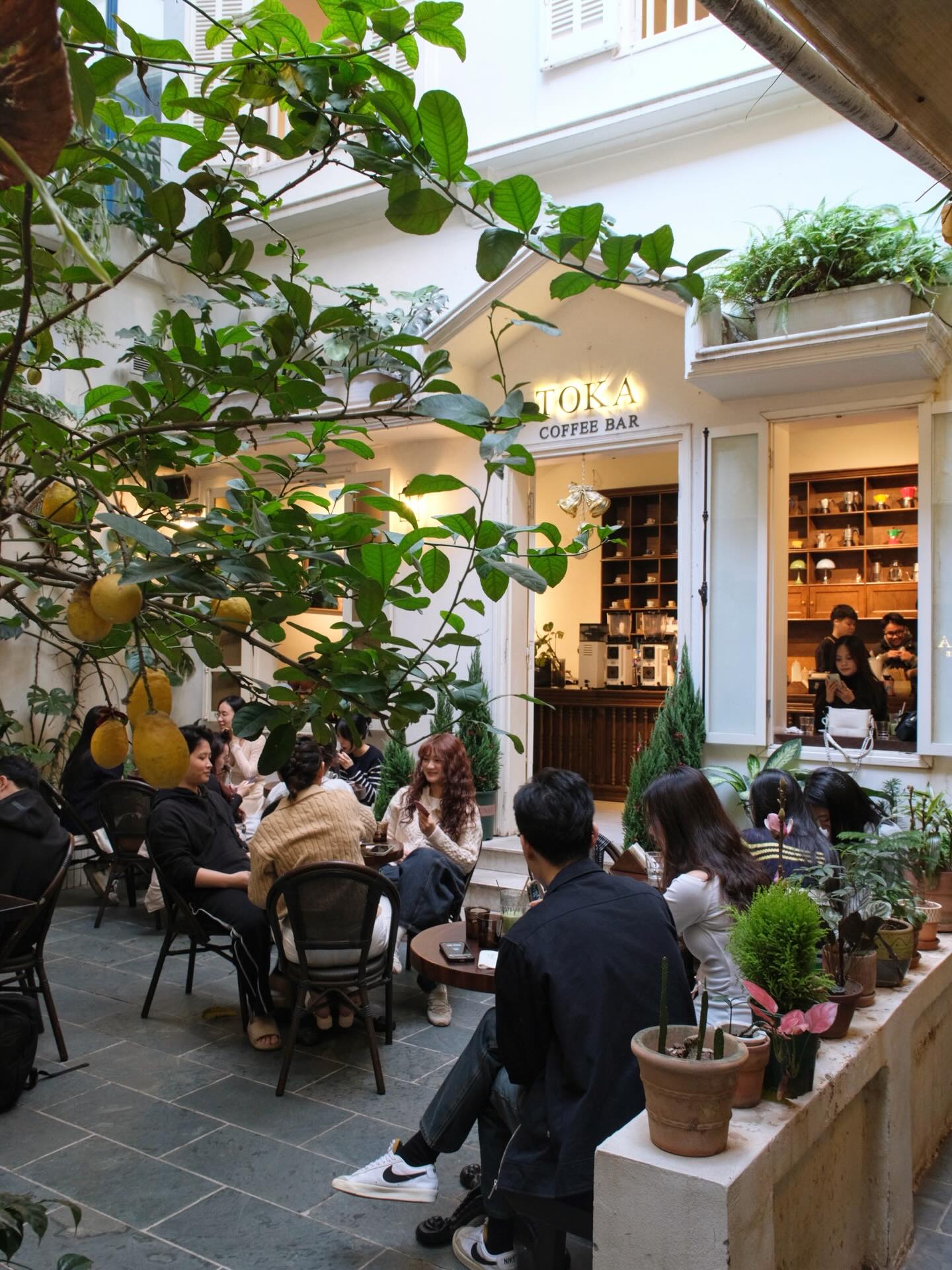 TOHA Coffee