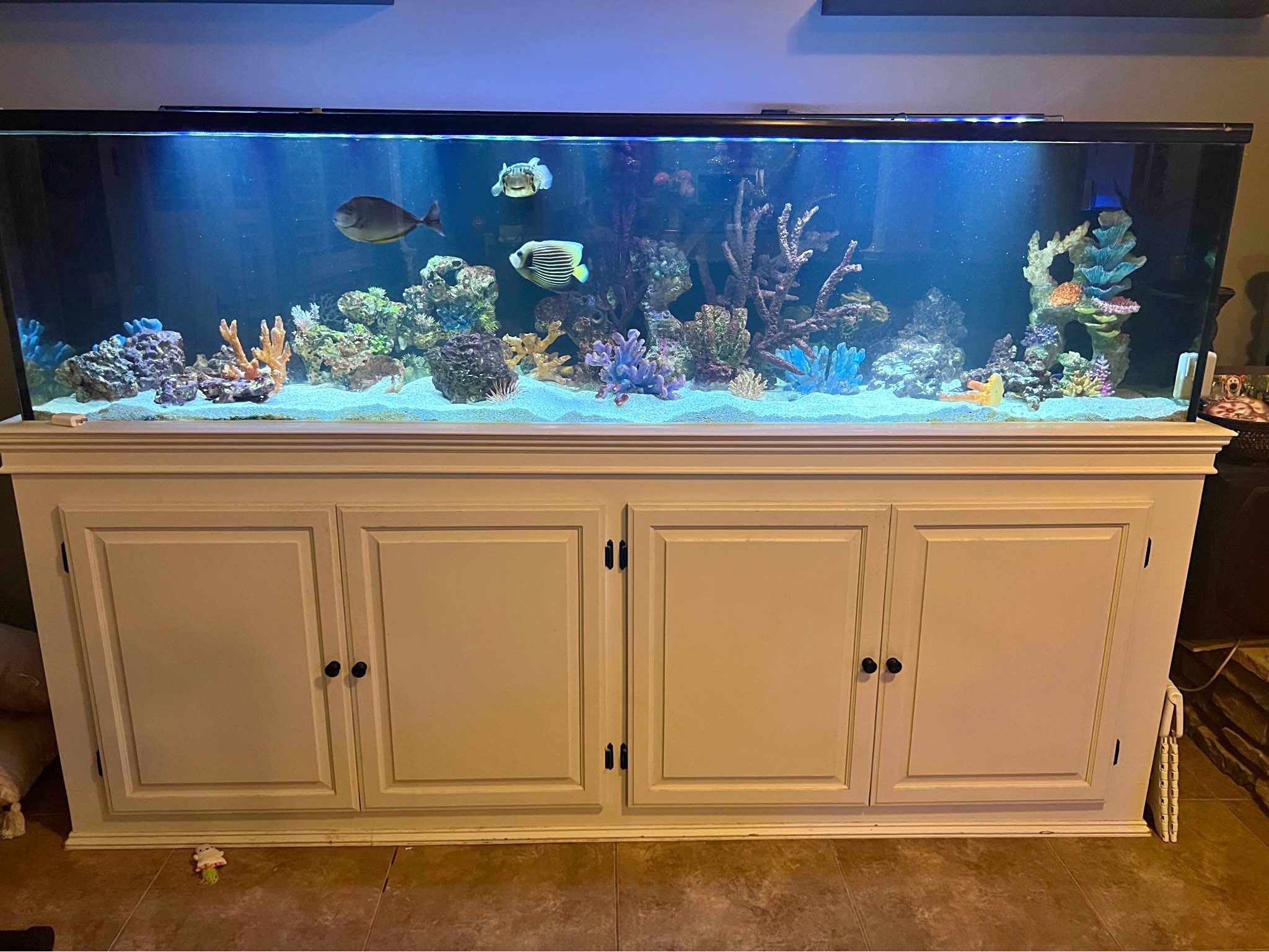 240 gallon aquarium - including light, base, coral inserts, sand, 2 ...