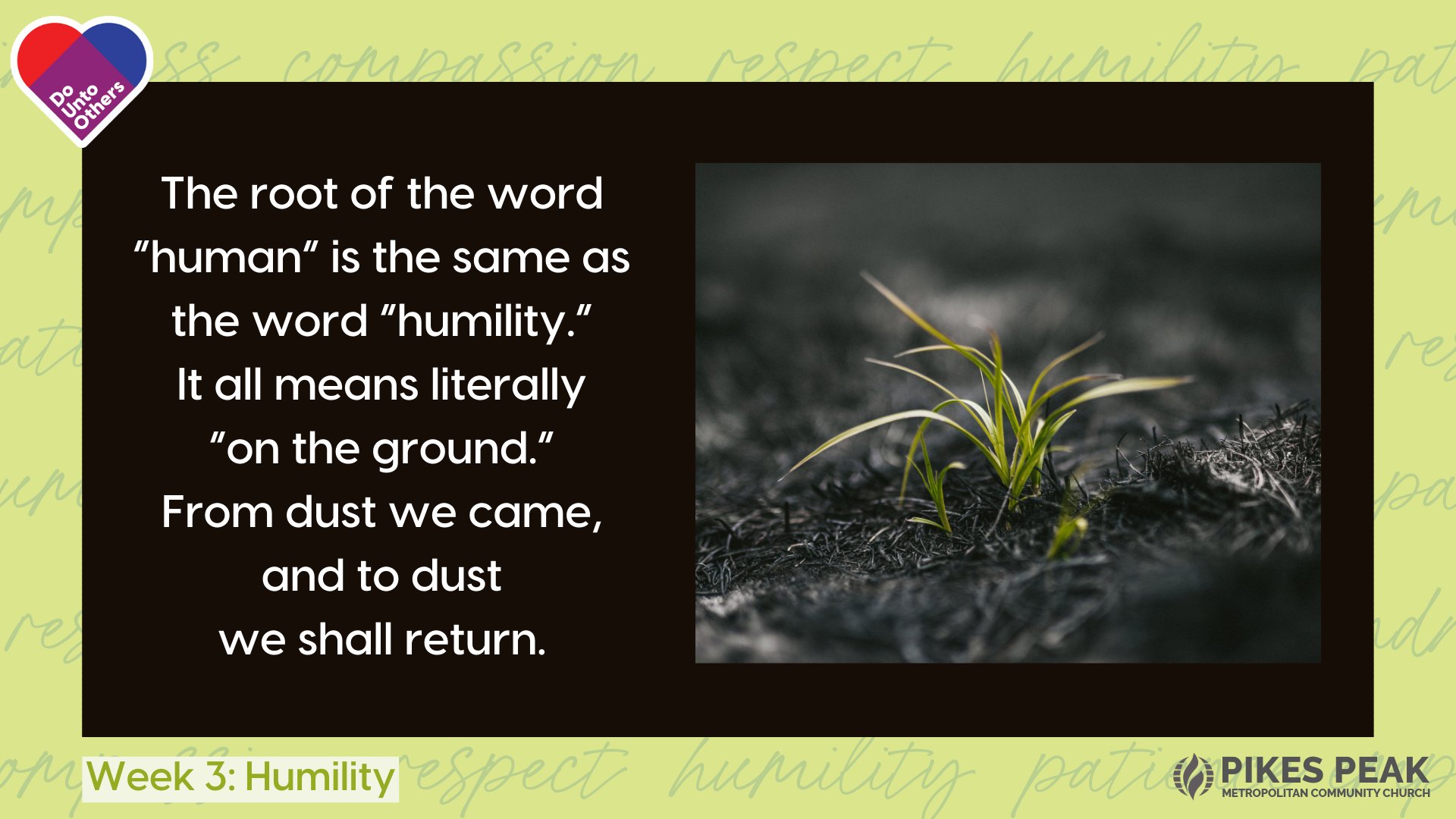 Pikes - The beauty of humility? It reminds us that we all bloom from ...