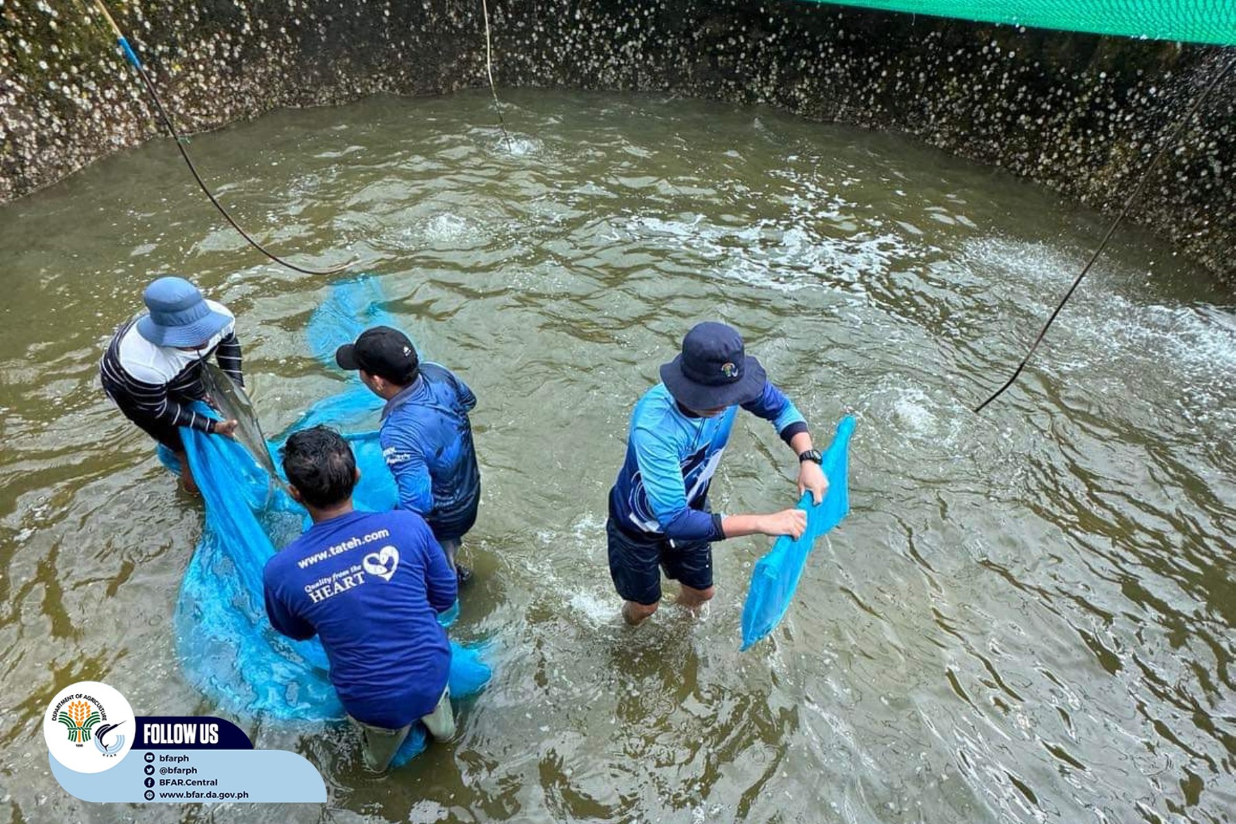 BFAR - 𝐈𝐍 𝐏𝐇𝐎𝐓𝐎𝐒: DA-BFAR conducts 5-day hands-on milkfish production ...