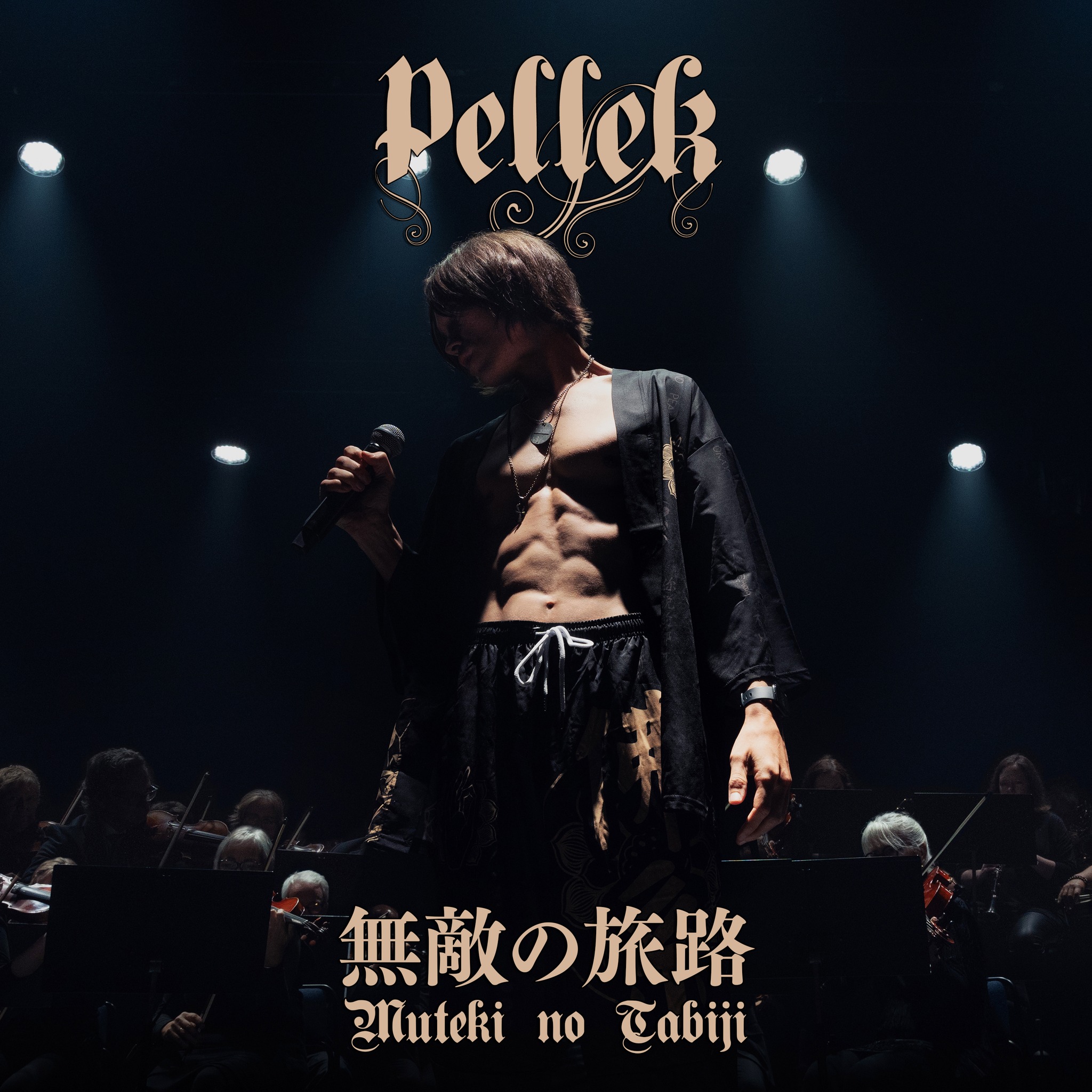 Hikaru Genji's 3rd single release