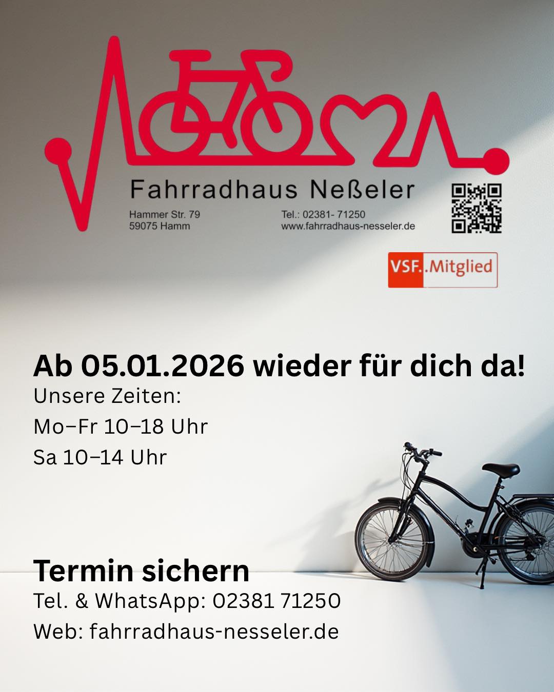 indoor fahrradständer CycleStand Pro Vertikaler für den Innenbereich, Fahrradträger für Garage, aufrechte Fahrradhalterung, hält MTB, Straße und Fahrradhelm Für Damen & Category:MTB Cross Hardtail_16 kg Anzahl der Wochen:4 Wochen