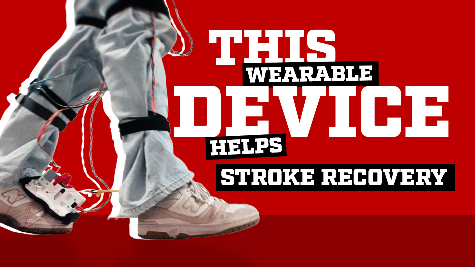 What if undergraduate research could help people walk again? This