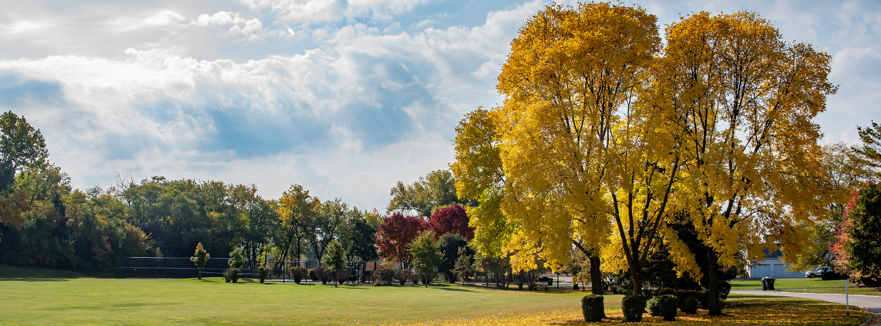 Patch has rounded up an array of... - Lake Zurich Patch | Facebook