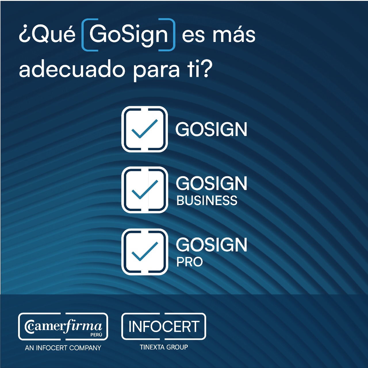 Camerfirma - ¿No sabes que tipo de GoSign es mas adecuado para ti? Te ...
