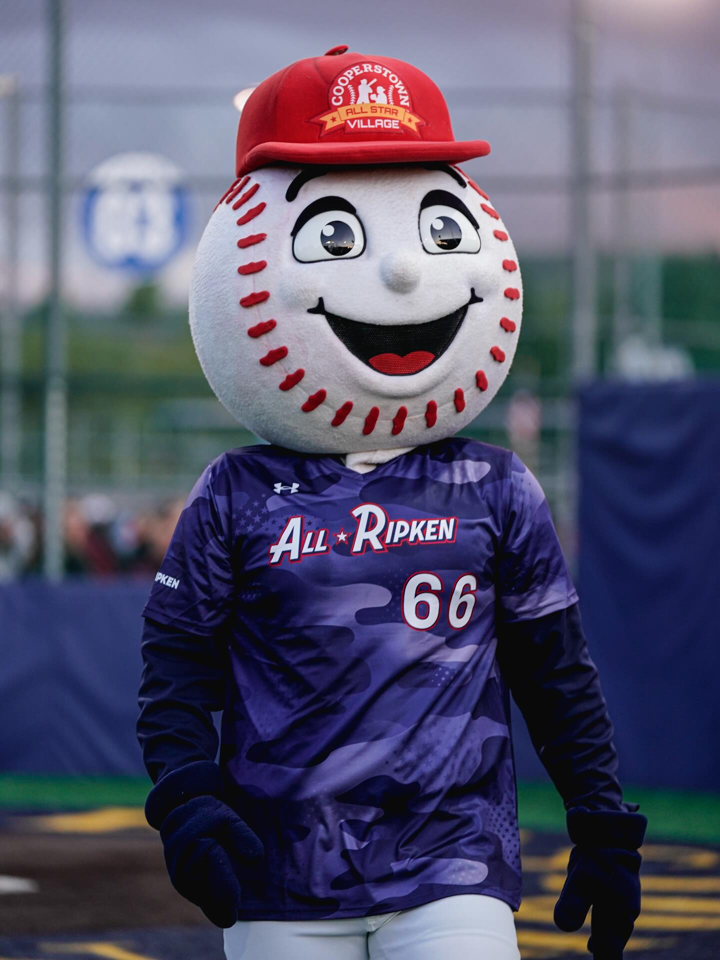 All-Ripken
