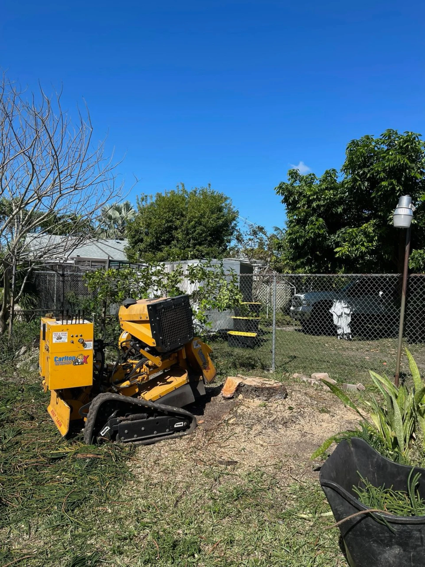 Bayamito & Son’s Tree Trimming & Stump Removal | Miami FL