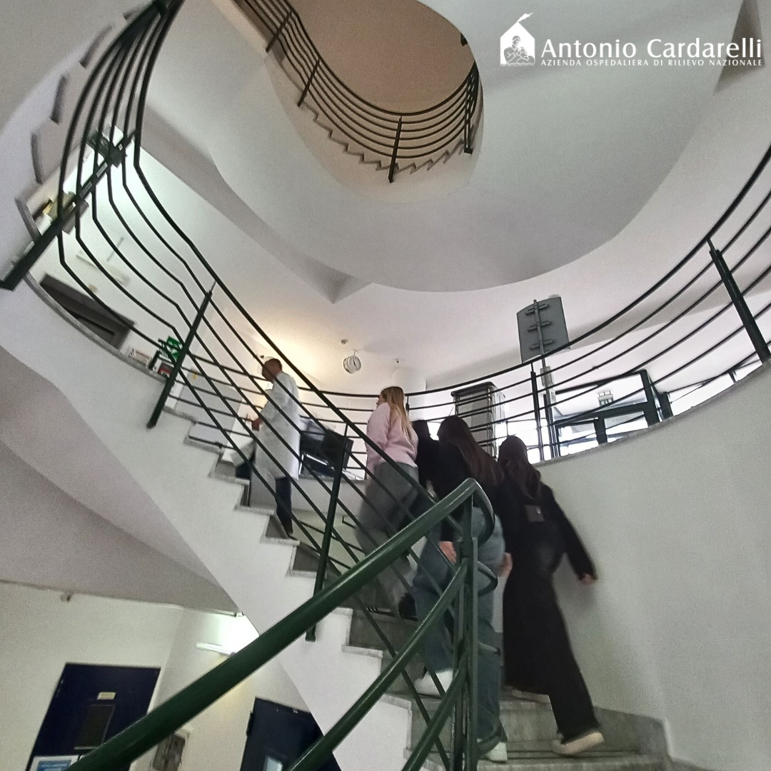 Ospedale Cardarelli | Naples