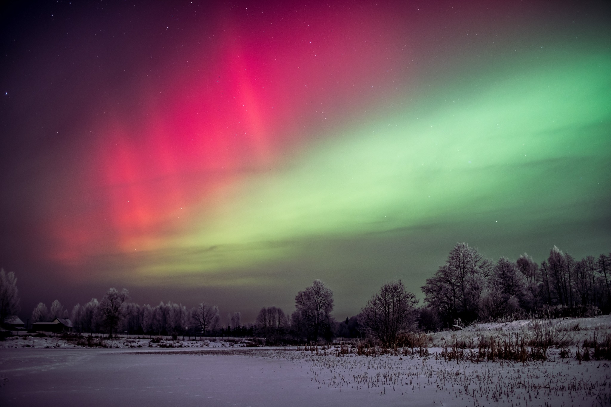Aurora Borealis | Latvia.19.01-20.01.2026. | Facebook