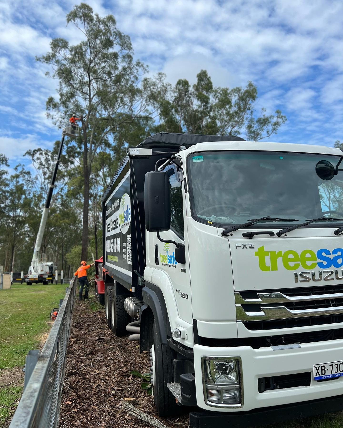 Treesafe Environmental Services | Yatala QLD