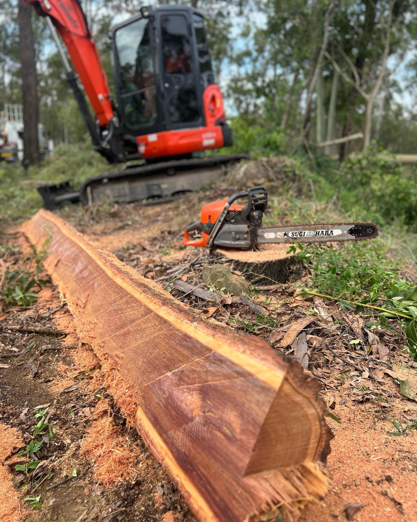 Treesafe Environmental Services | Yatala QLD