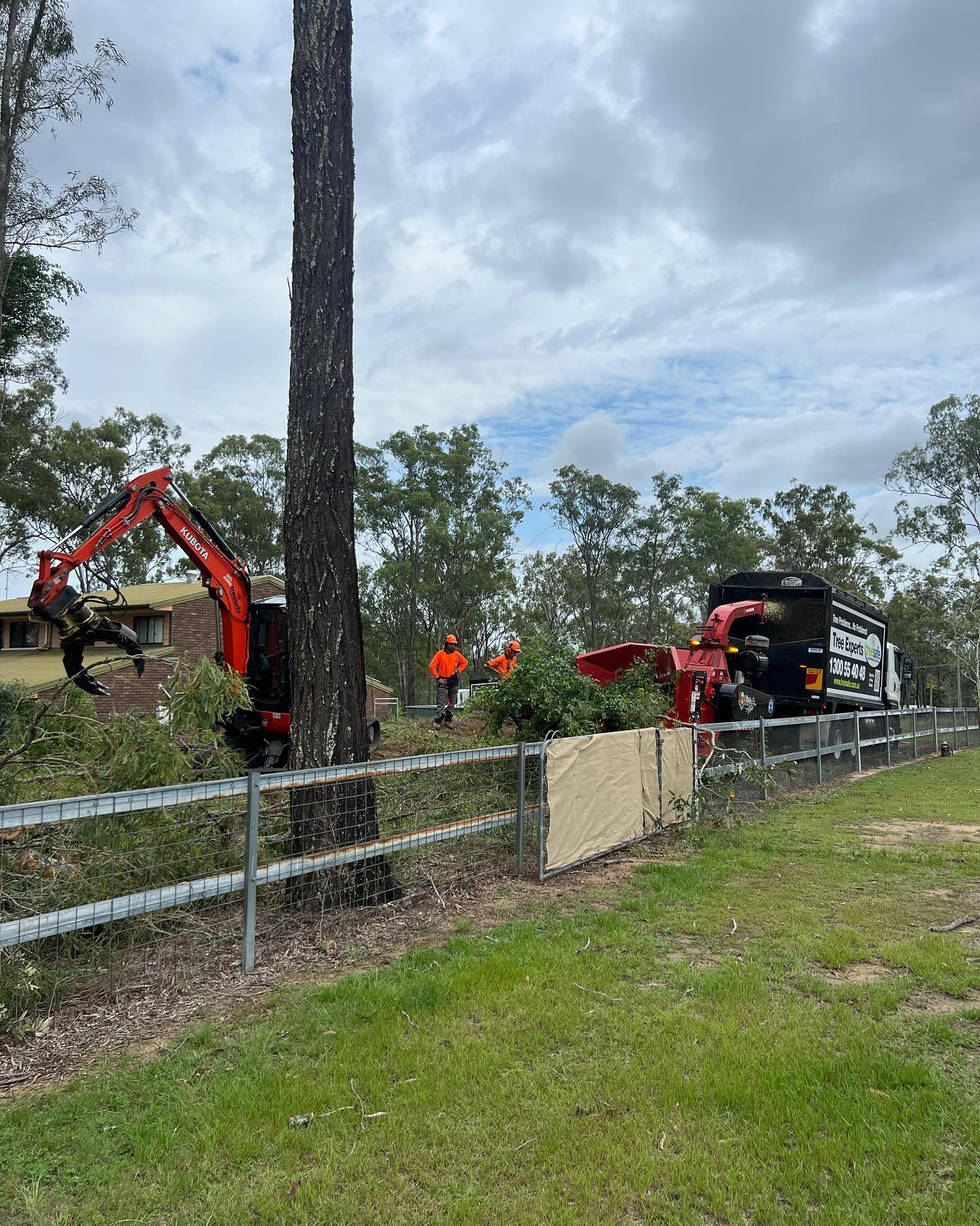 Treesafe Environmental Services | Yatala QLD