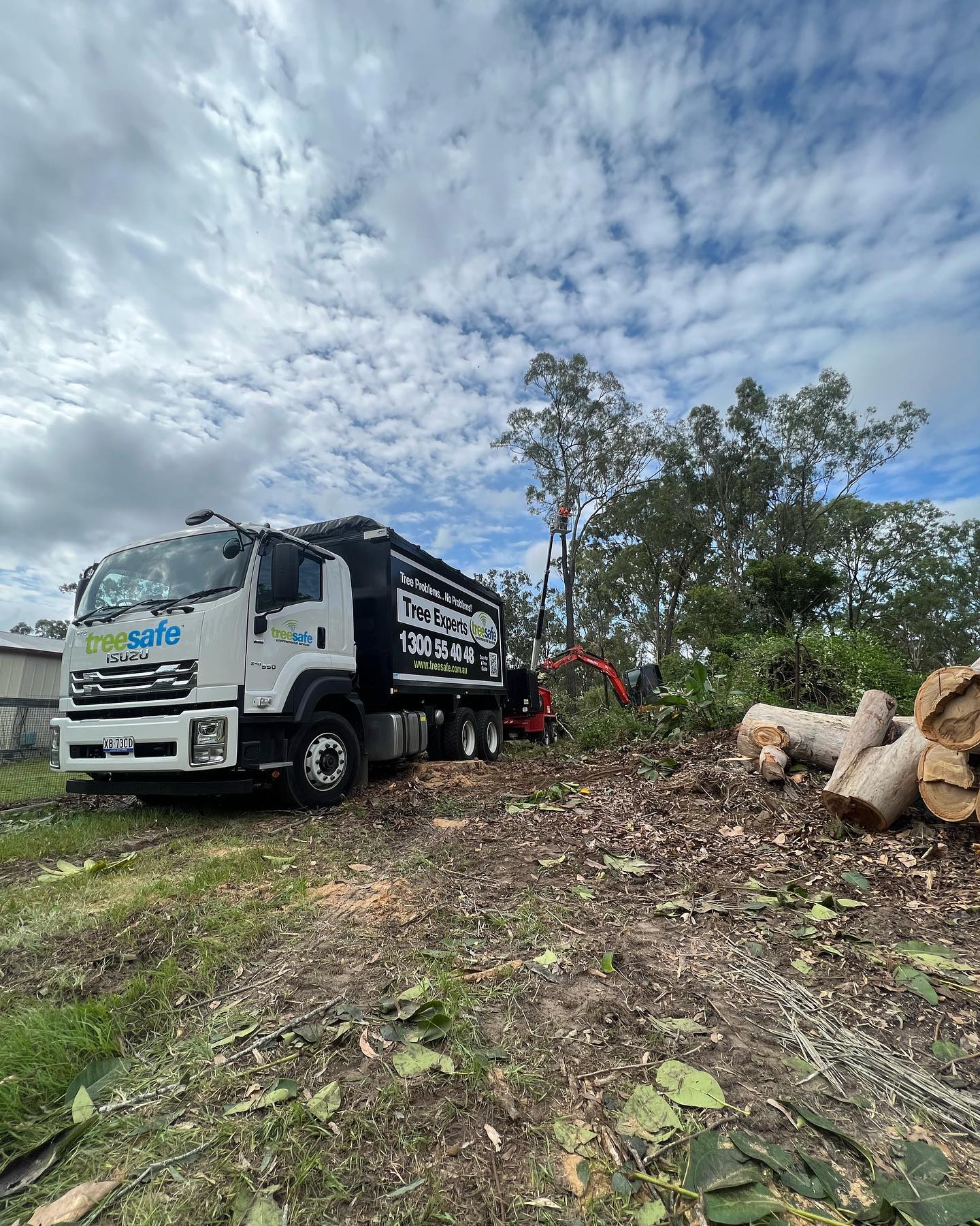 Treesafe Environmental Services | Yatala QLD