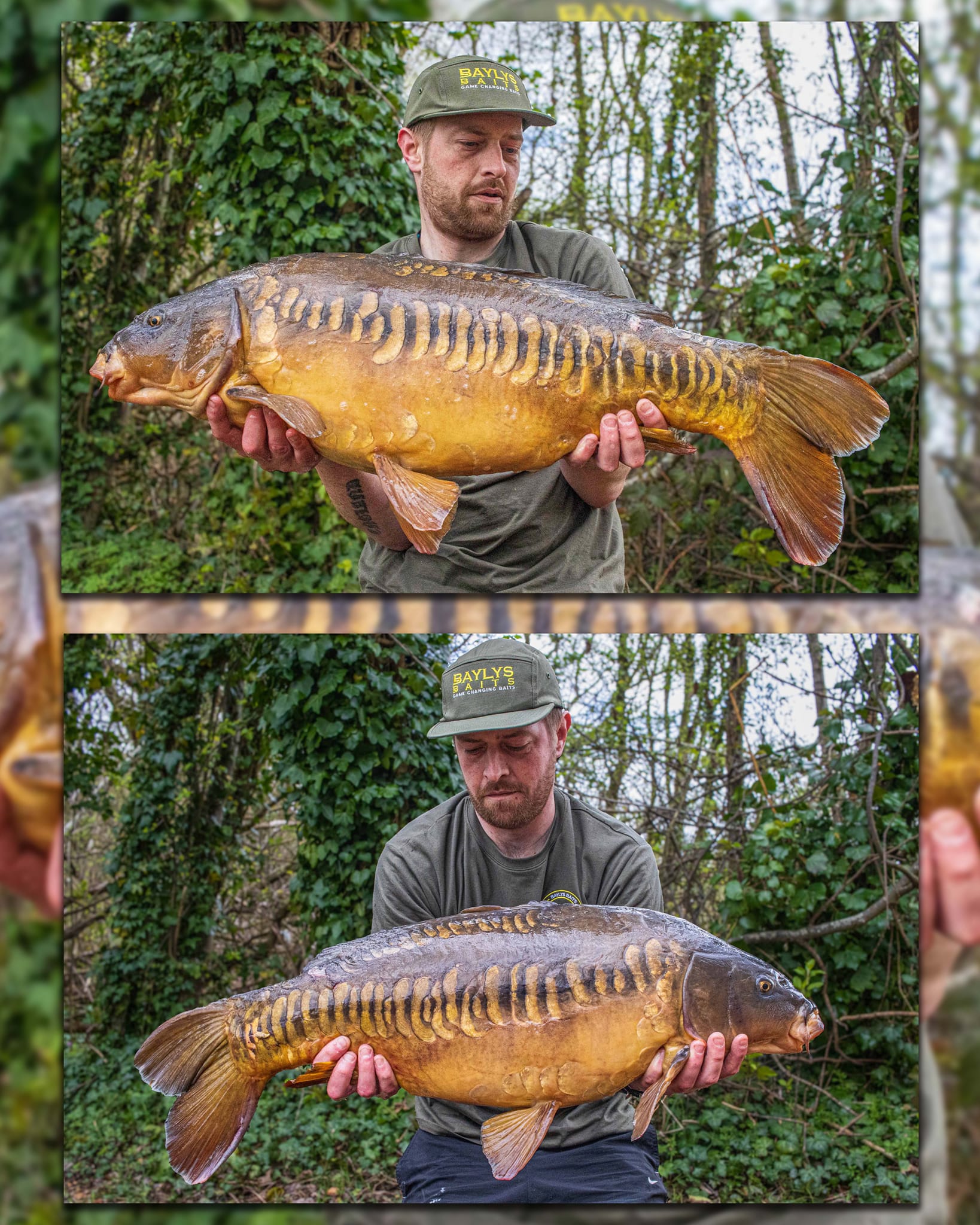 Horcott Lakes - 📸📸 Scout Lake......🔥🔥 This absolute... | Facebook