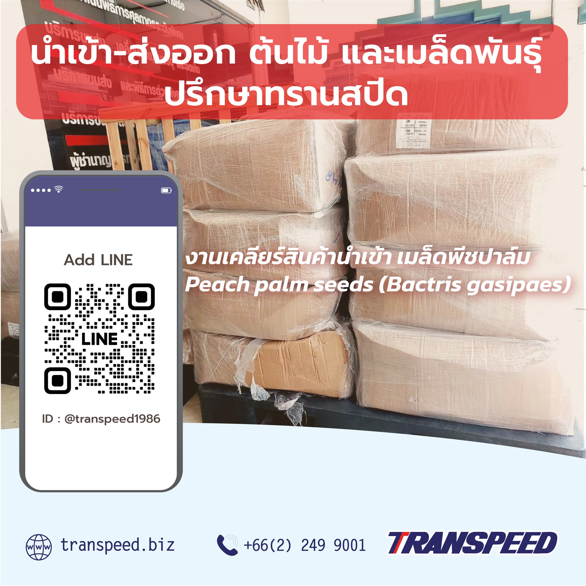 Transpeed บริการขนส่งสินค้าเร่งด่วนระหว่างประเทศ ครบวงจร