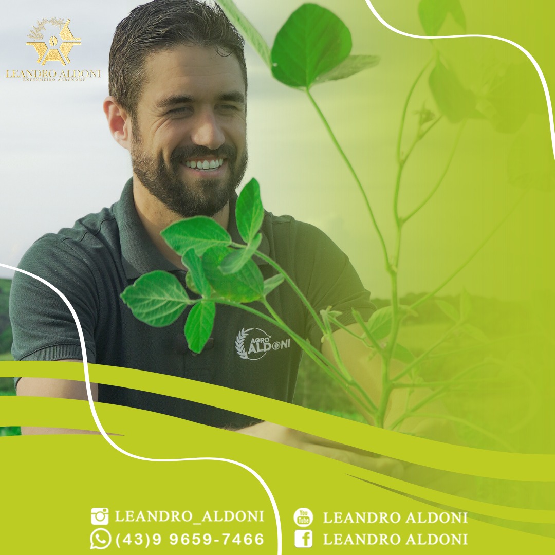 Leandro Aldoni