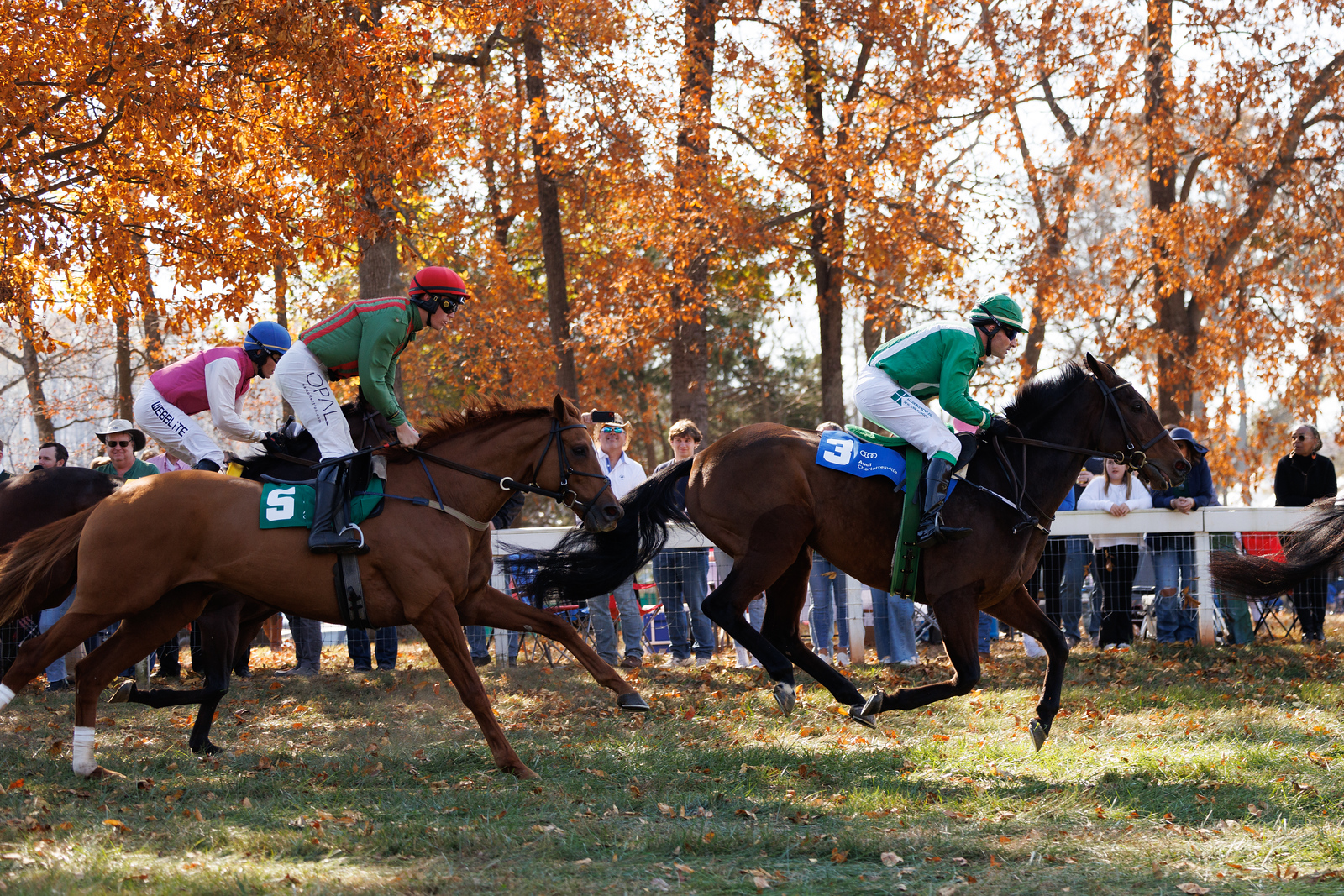 Montpelier Hunt Races