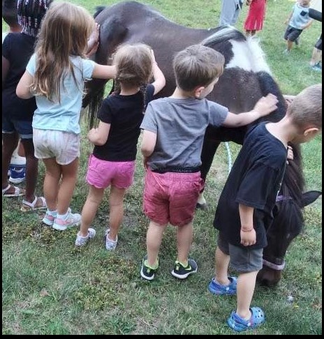 Pony Time Ranch and Mobile Petting Zoo | Lowellville OH