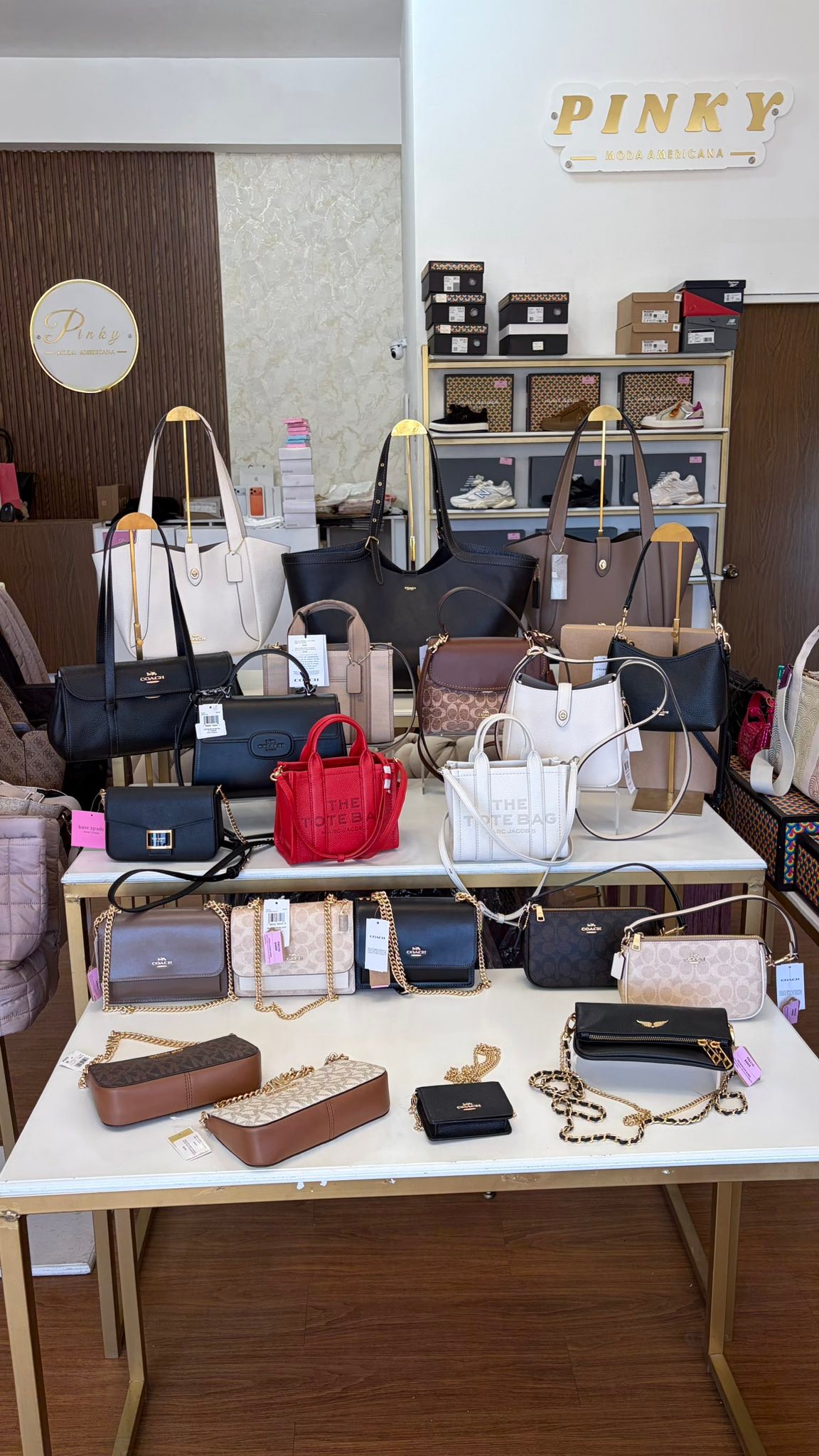 Pinky-Moda Americana... - Pinky-Moda Americana Saltillo